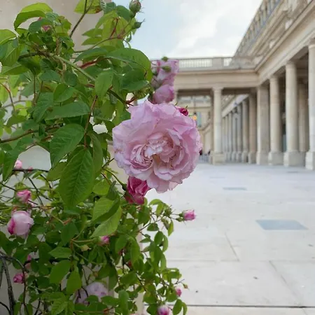 Near Louvre, Appartamento *