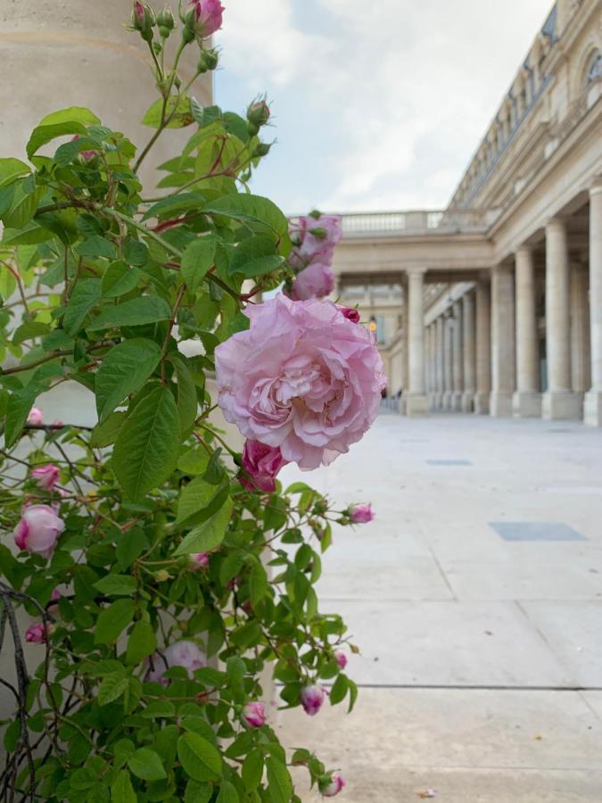 Near Louvre, Appartamento *